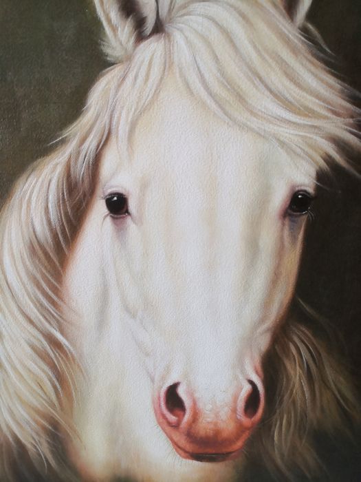 Obraz widok głowy konia