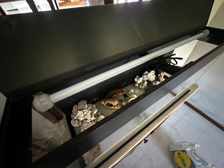 Aquário JUWEL 100cm completo com filtros – bom estado