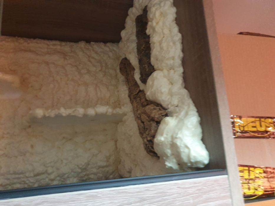 Nowe Terrarium wyposażone