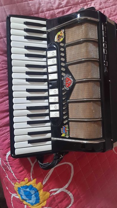 Vendo acordeom marca Melodia