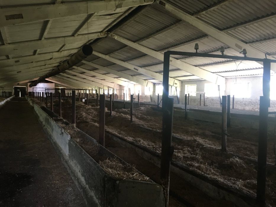 Продам ферму в с. Живачів від Власника, споруди 20,400м2, 16,1га землі