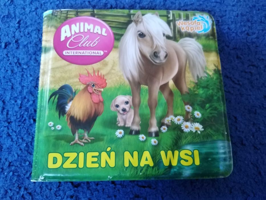 Książeczka edukacyjna, zabawkia