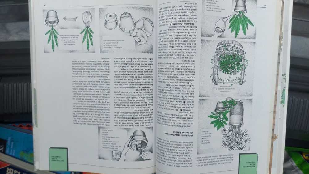 Aprenda a Construir Vasos Artísticos do Mundo Editorial