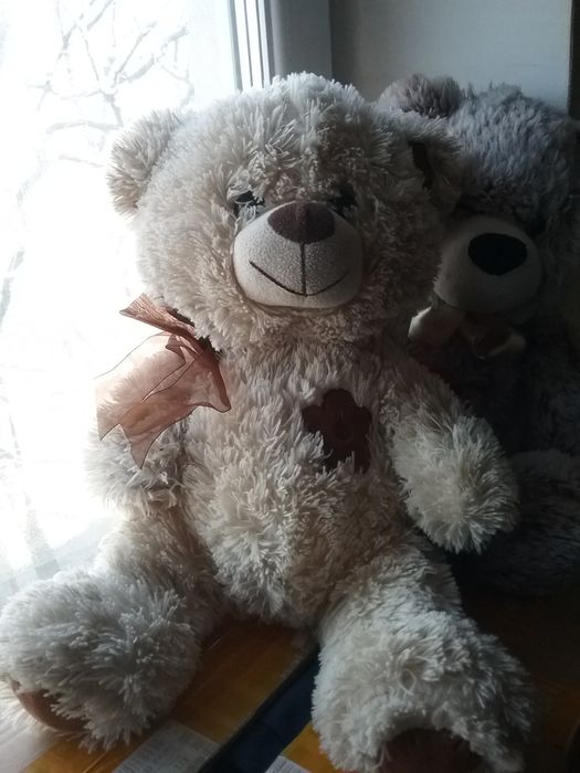 пара мишек, мяккие пушистые ведмеди