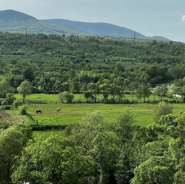 Закарпаття Солочин Голубине ,,Сонячний квартал" 2 кім апартаменти
