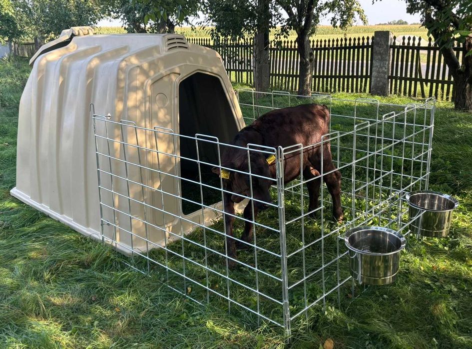 Budki dla cieląt iglo grupowe z wygrodzeniem i miskami