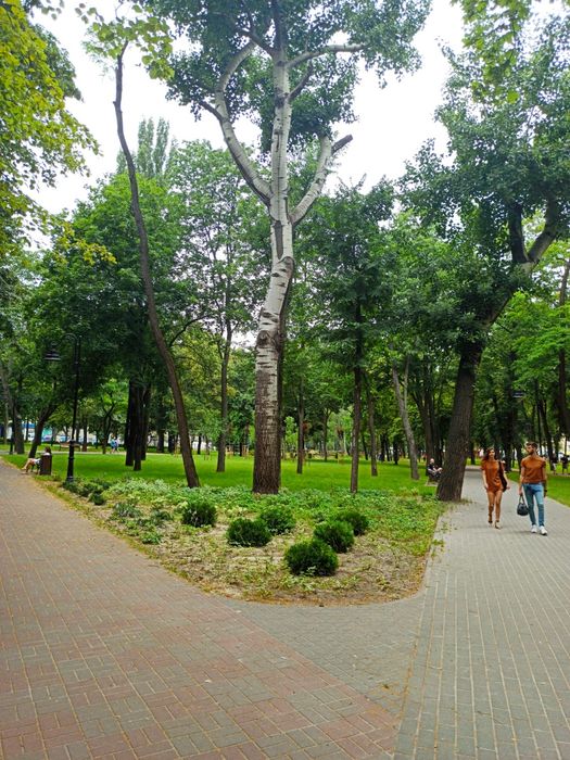 Комната. Подол. Куреневский парк