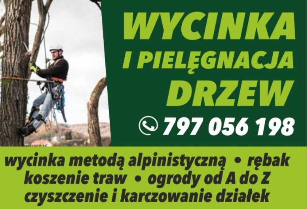 Wycinka i pielęgnacja drzew Rębak Czyszczenie koszenie działek karczow