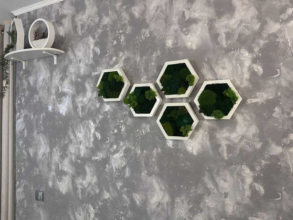 Мох у сотах, соти з мохом,декор з моху, стабілізований мох. ЗНИЖКИ!!!