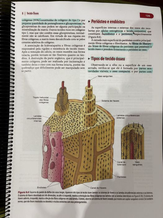 Livro de Histologia Basica Junqueira e Carneiro