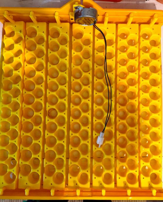 Tabuleiro para chocadeira modelo wq48 (154 ovos de codorniz)