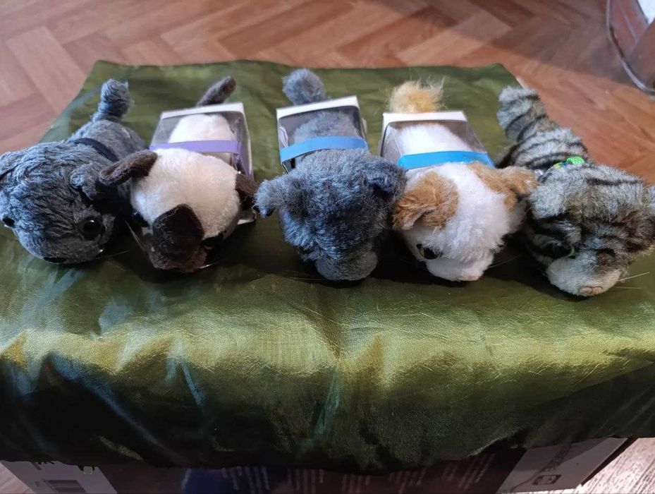 The cat collection  и Dog Collection Собачки и Котики из коллекции