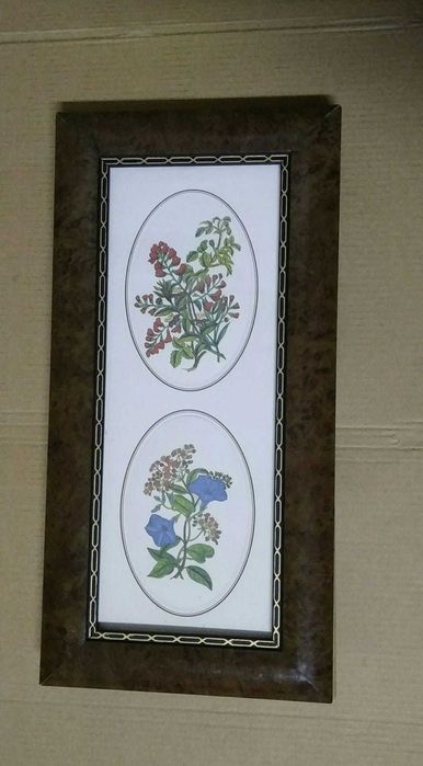 Quadros de Flores -Conjunto de 4