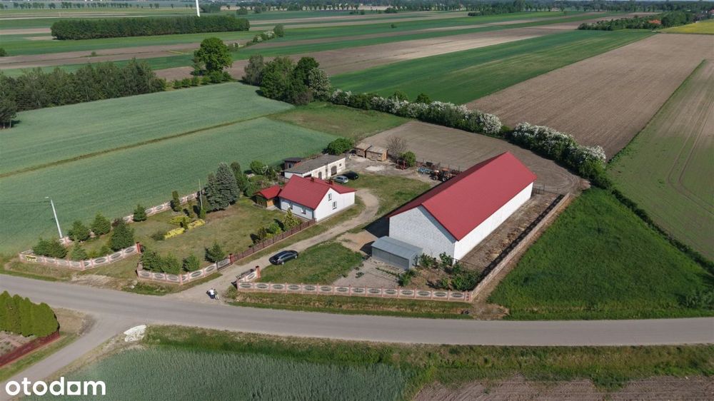 Siedlisko w Szpondowie gm. Płońsk