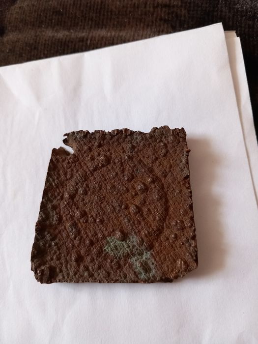 Numizmat Mikołaj Kopernik