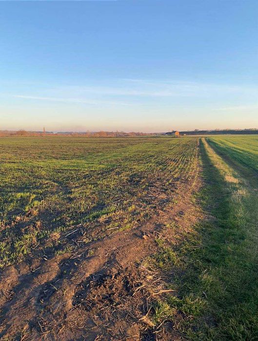Продам земельну ділянку 70 соток с.Ільківка (9880)