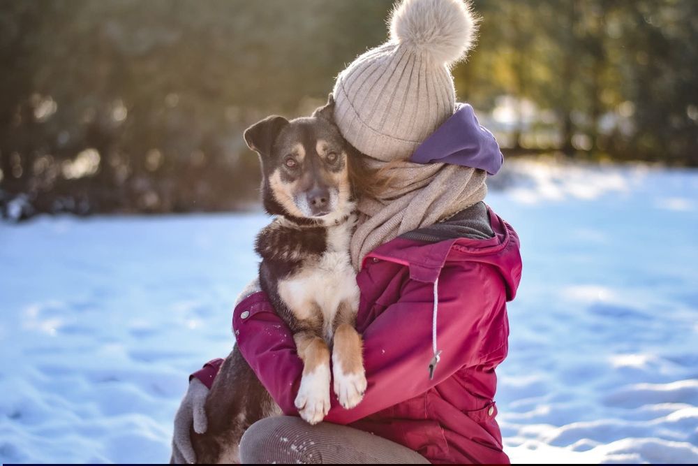 Adoptuj wrażliwego Kacperka