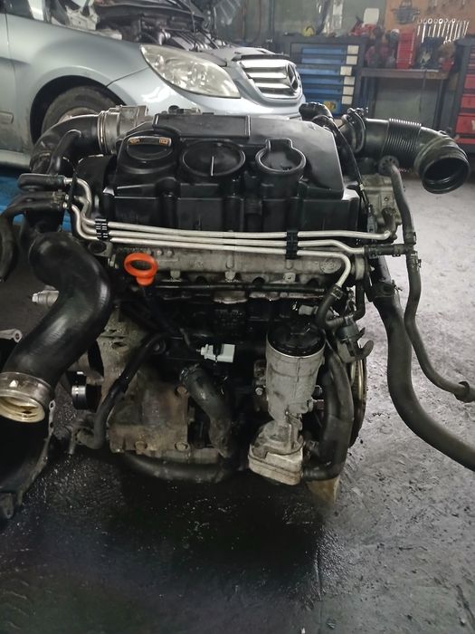 Silnik bls 1.9tdi Audi VW Seat Skoda