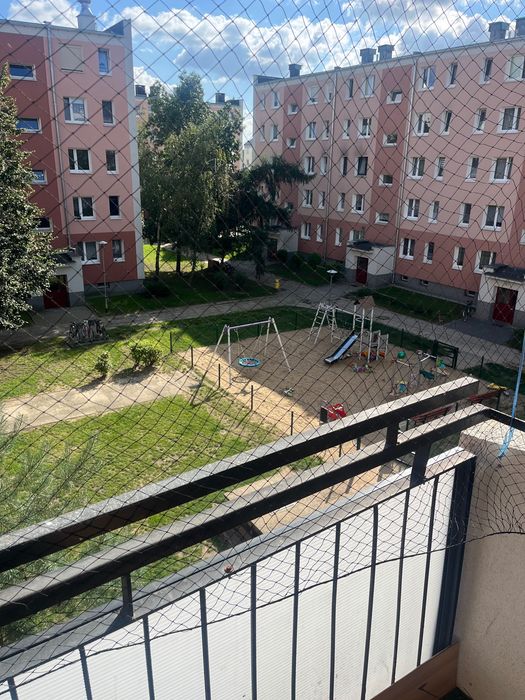 Zdjęcie 5