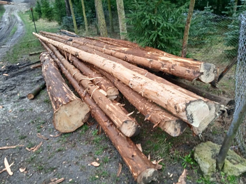 Drewno dłużyca korowana świerk i modrzew