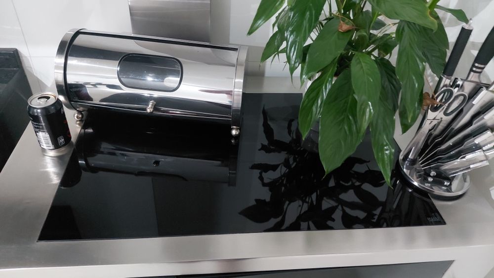 Fogão a lenha em inox