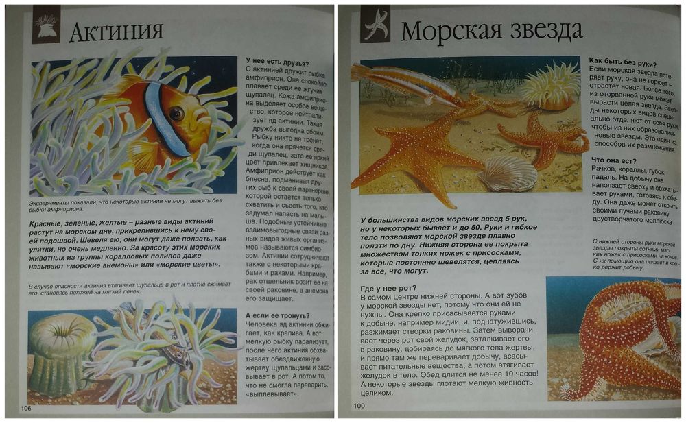 Детские книги Энциклопедии Животные енциклопедія Махаон