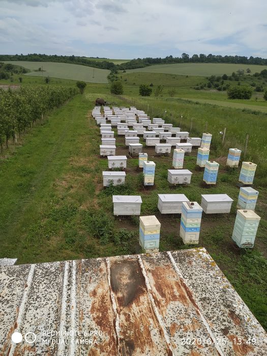 Продам мед , мёд... ЕКО