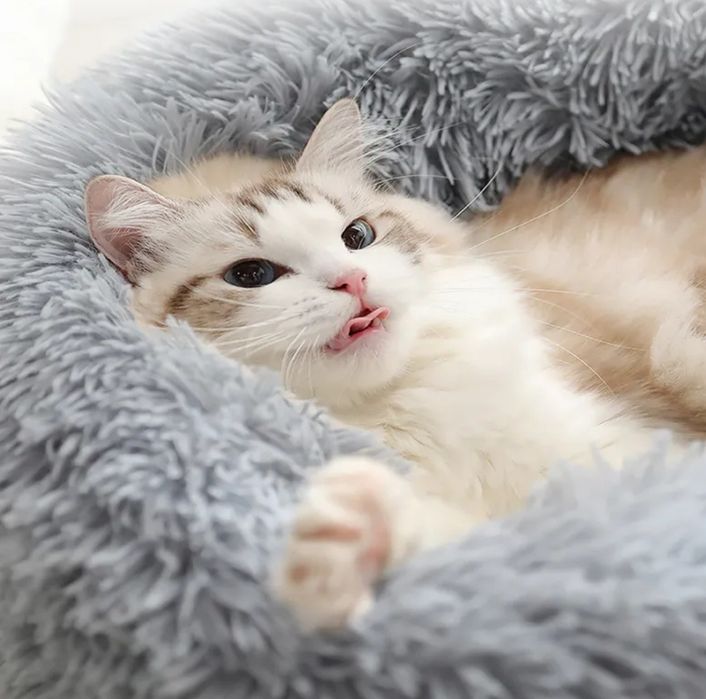 Лежак , лежак-пуф для собак котів, лежанка