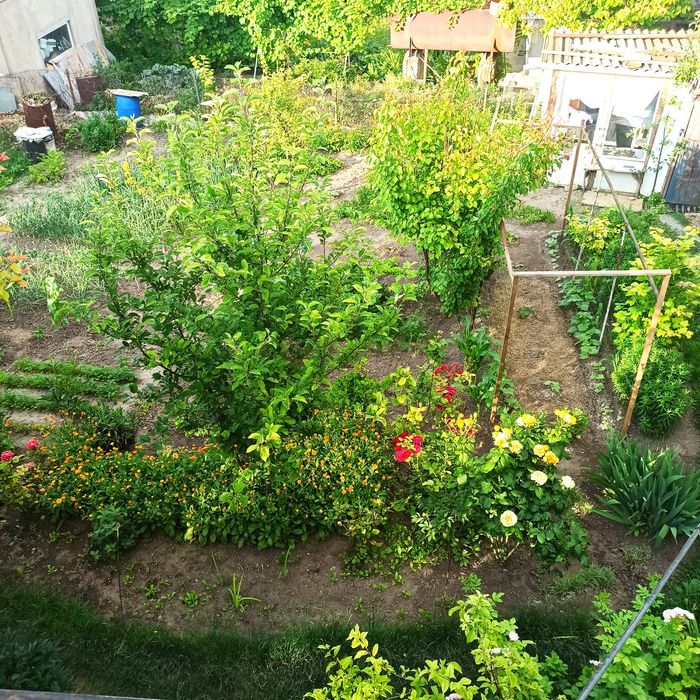 Дом по адресу (площадь 156 м²) - Atlanta.ua - фото 19