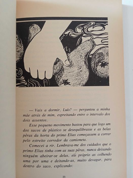 Viagem à roda do meu nome - Alice Vieira