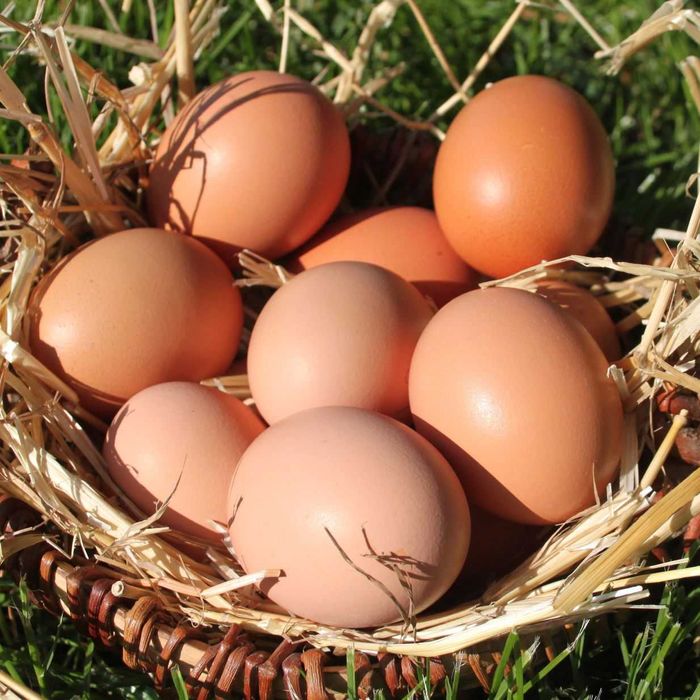 Ovos Caseiros em Pedras Salgadas