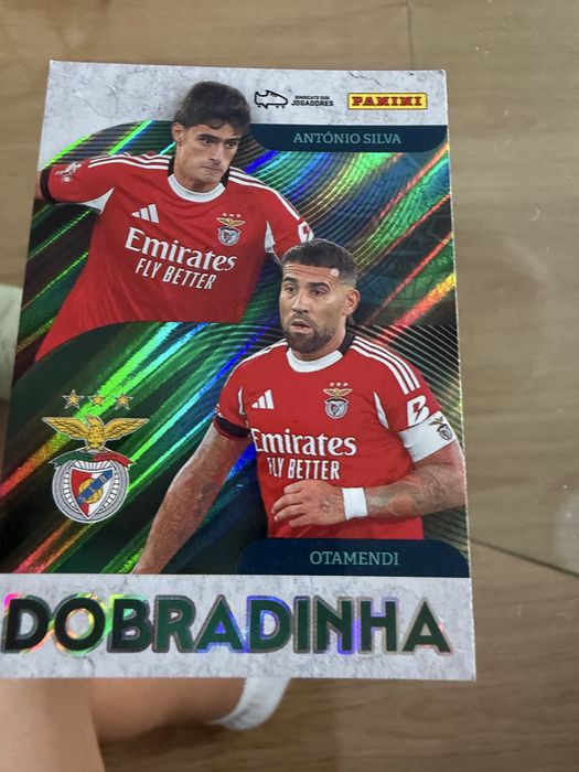 Cartas Idolos Panini