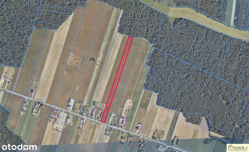 Sprzedam działke 1,08 Ha w Anoninie pod Tuchowiczem - Widok 2