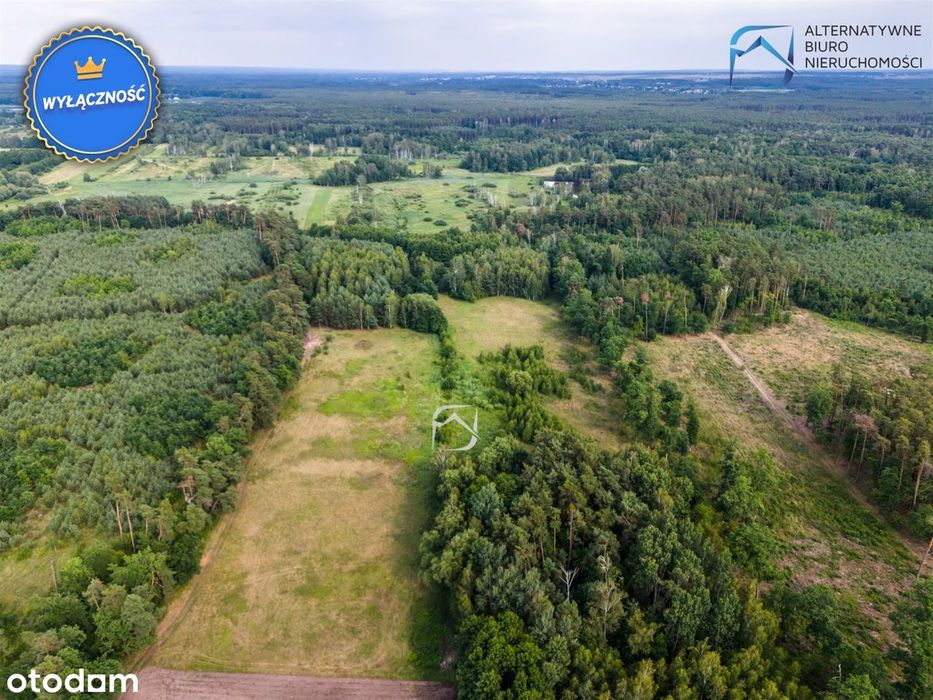 Działka 3004 m² blisko natury - gmina Łaziska