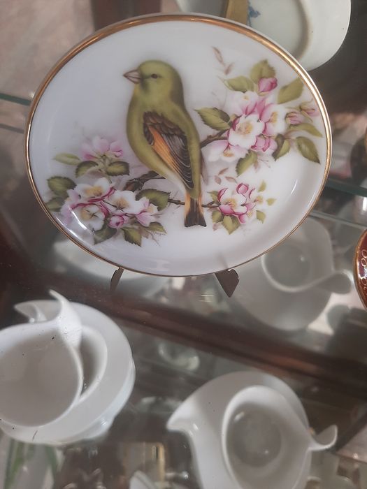 Porcelain Plates434775662778787844