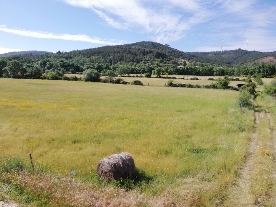 Quinta em Meimoa 9 ha