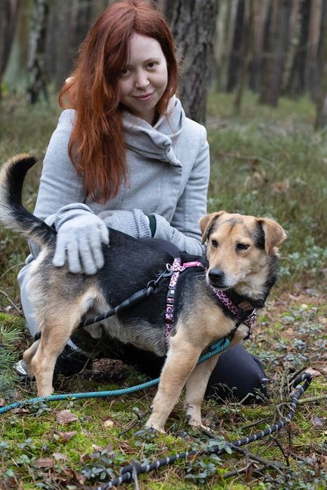 Piesek około cztery lata