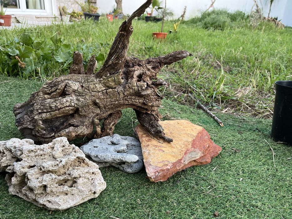 Tronco para terrario ou aquario