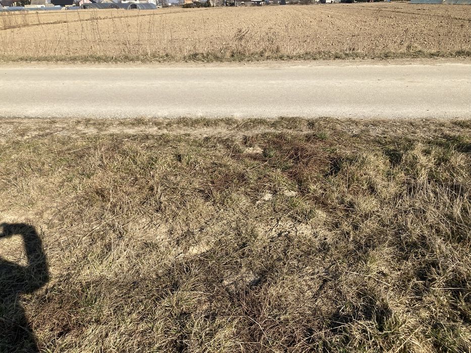 Dzialka budowlana Zofipole blisko Krakowa - Widok 6