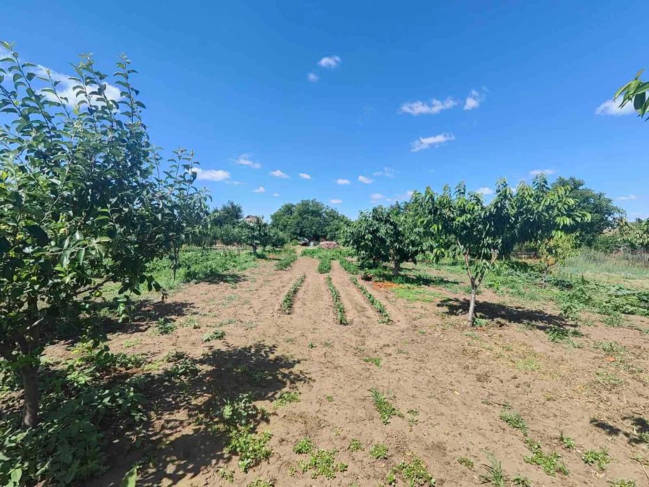 ПРОДАМ будинок в с.Біленьке,  с.Беленькое