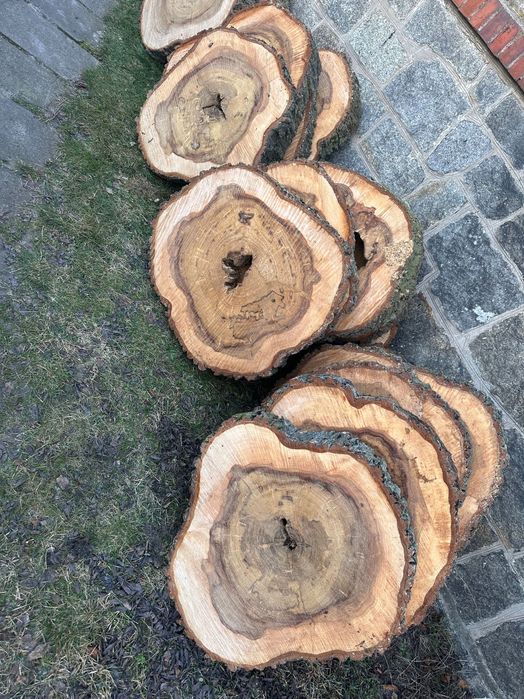 Drewno Wiąz świeżo cięte duże plastry handmade żywica