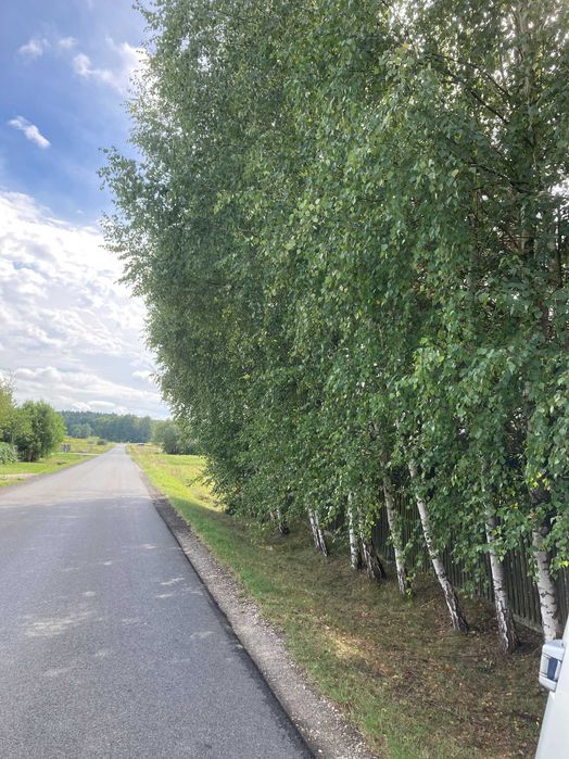 Sprzedam działki budowlane Oleśnica-Wielopole - Więcej