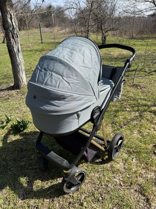 2 в 1 Roan Ivi Pine Green Gold 2024