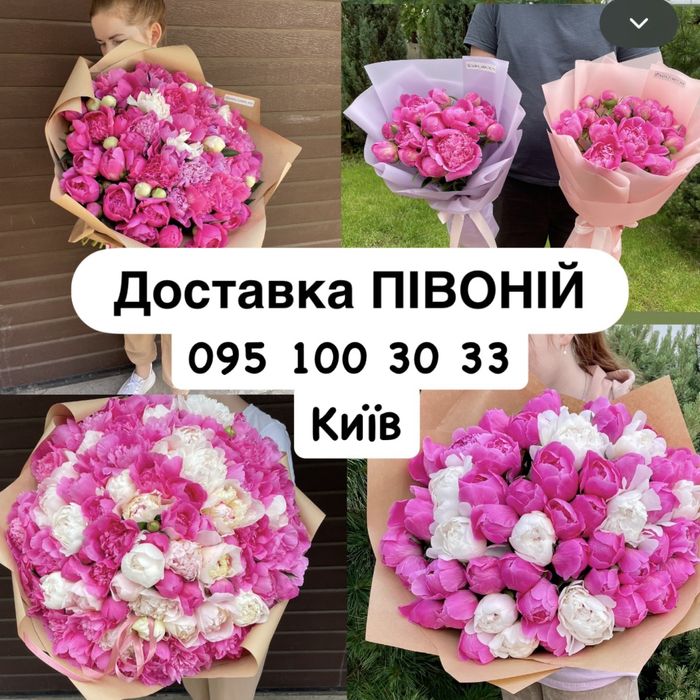 Півонії, піон, піони київ, доставка пионов, букет півоній
