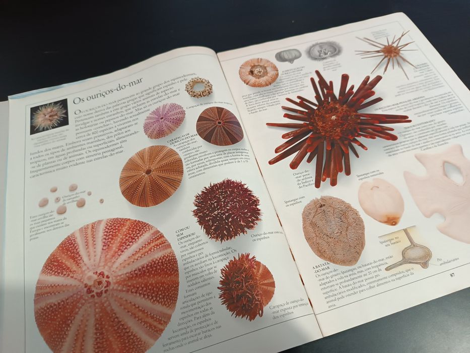 Enciclopédia Visual. Música, Conchas, O tempo64551118295939124