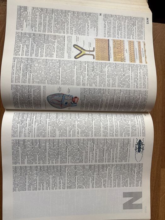 Encyklopedia popularna PWN