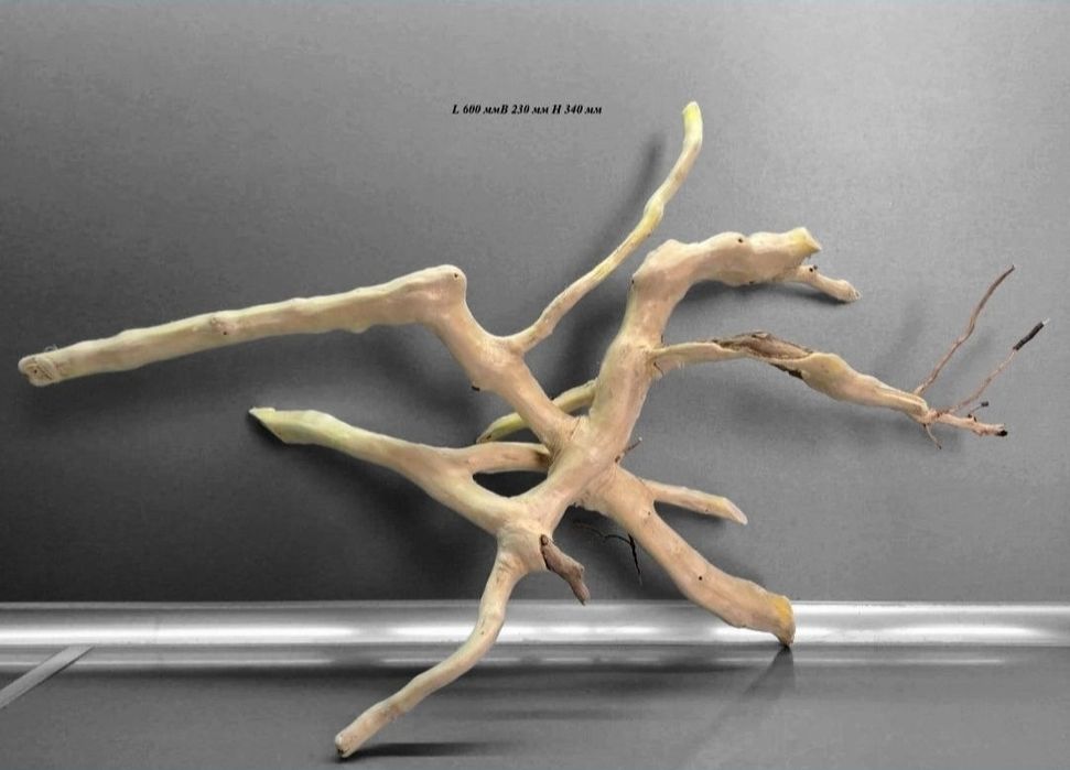 Коряга в Аквариум/террариум с дерева  КЛЕН