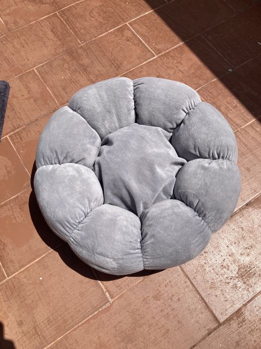 Ginasio & cama para gato