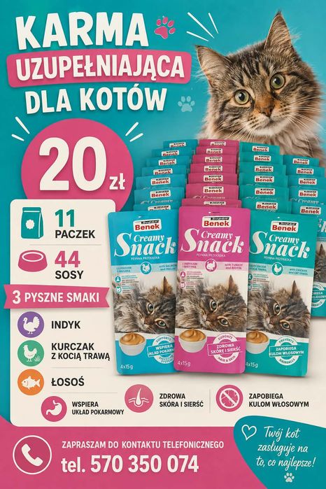 Karma dla kota 5 kartonów