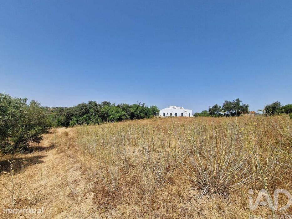 Terreno Agrícola em Santa Bárbara de Nexe
